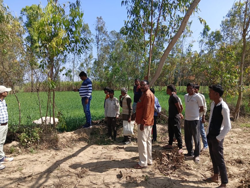गाय को निवाला बनाने के बाद पगचिन्ह छोडकर दहशत फैला गया बाघ